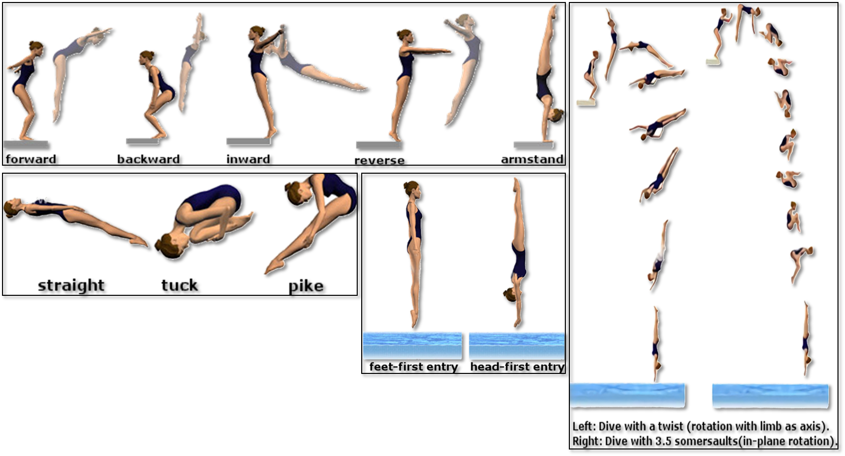 Dive sequence classification